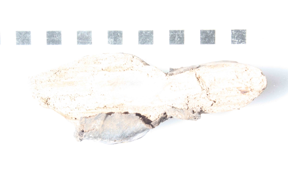 File BR96001_1_8 (30).jpg